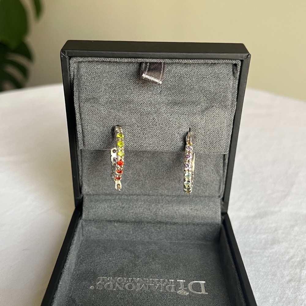 Sterling Silver Rainbow Hoops View 2